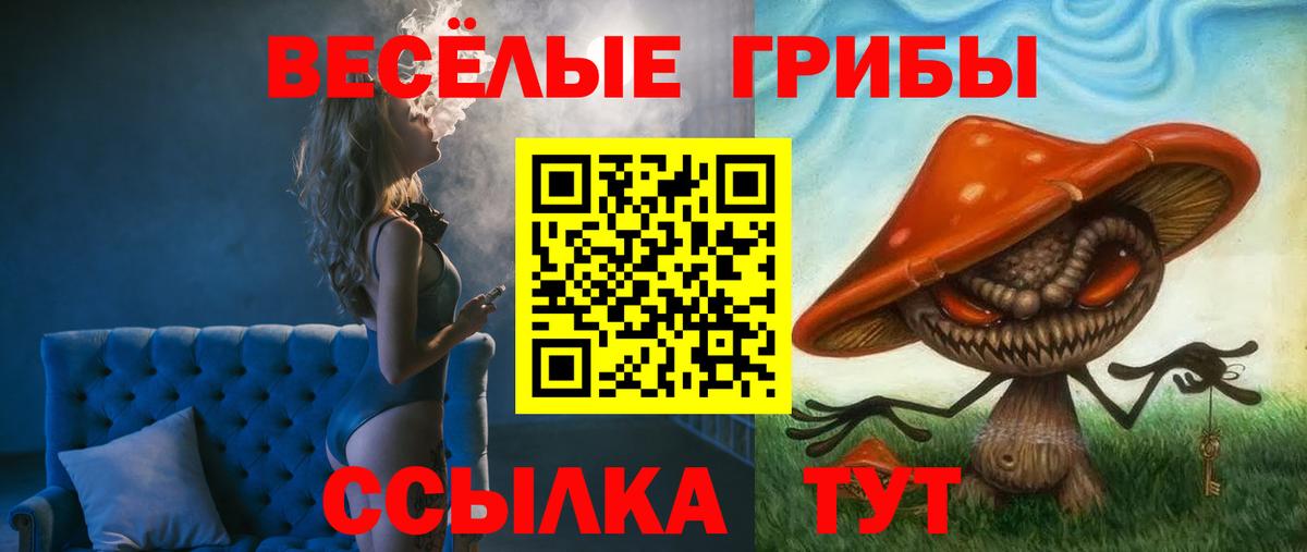 Галлюциногенные грибы Cubensis  Вход с VPN  Корсаков 